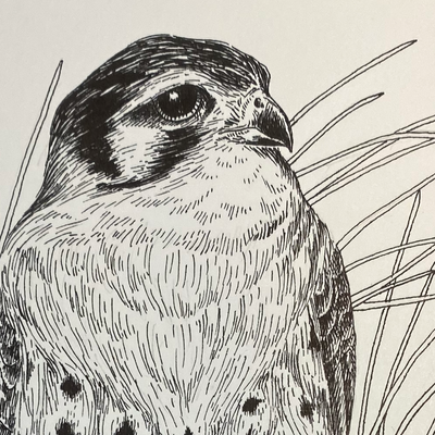 anne_montano_art@mastoart.social