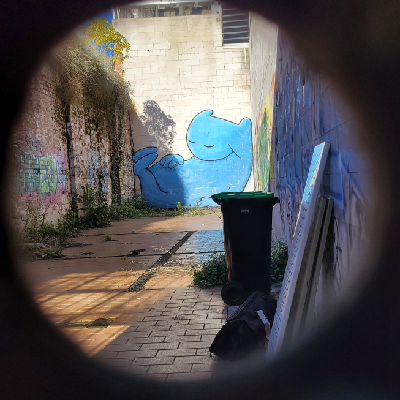 birdofwood