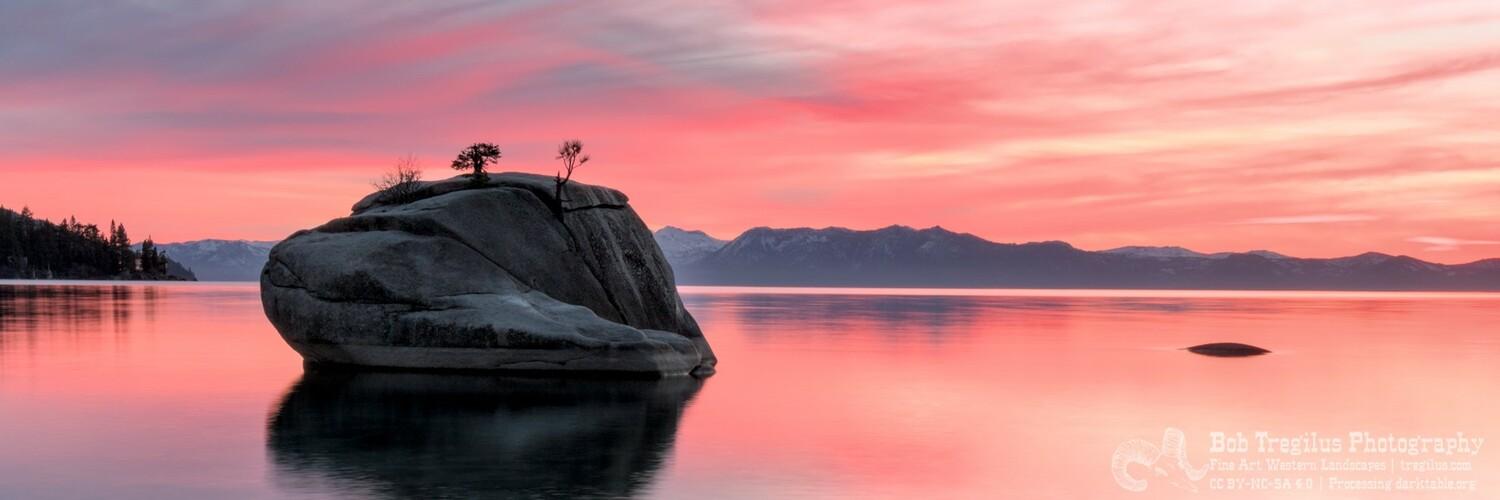 Header Image
