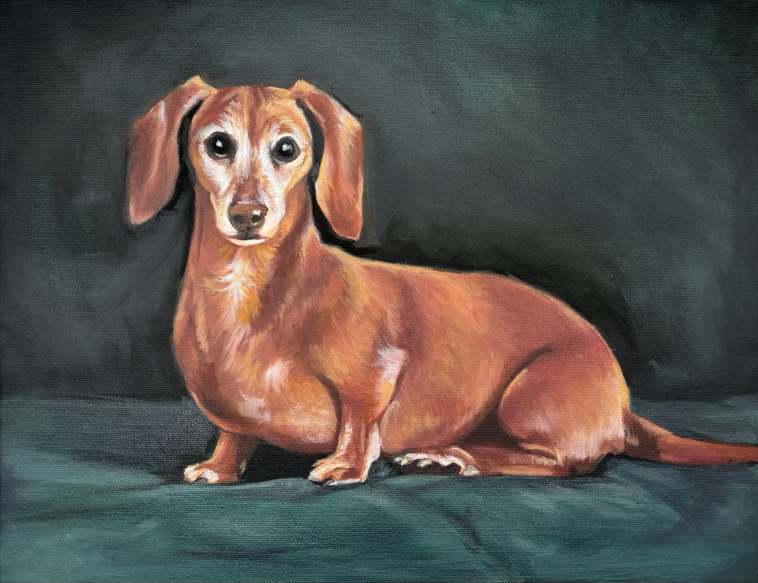A portrait of a red, short-haired dachshund with an emerald green background