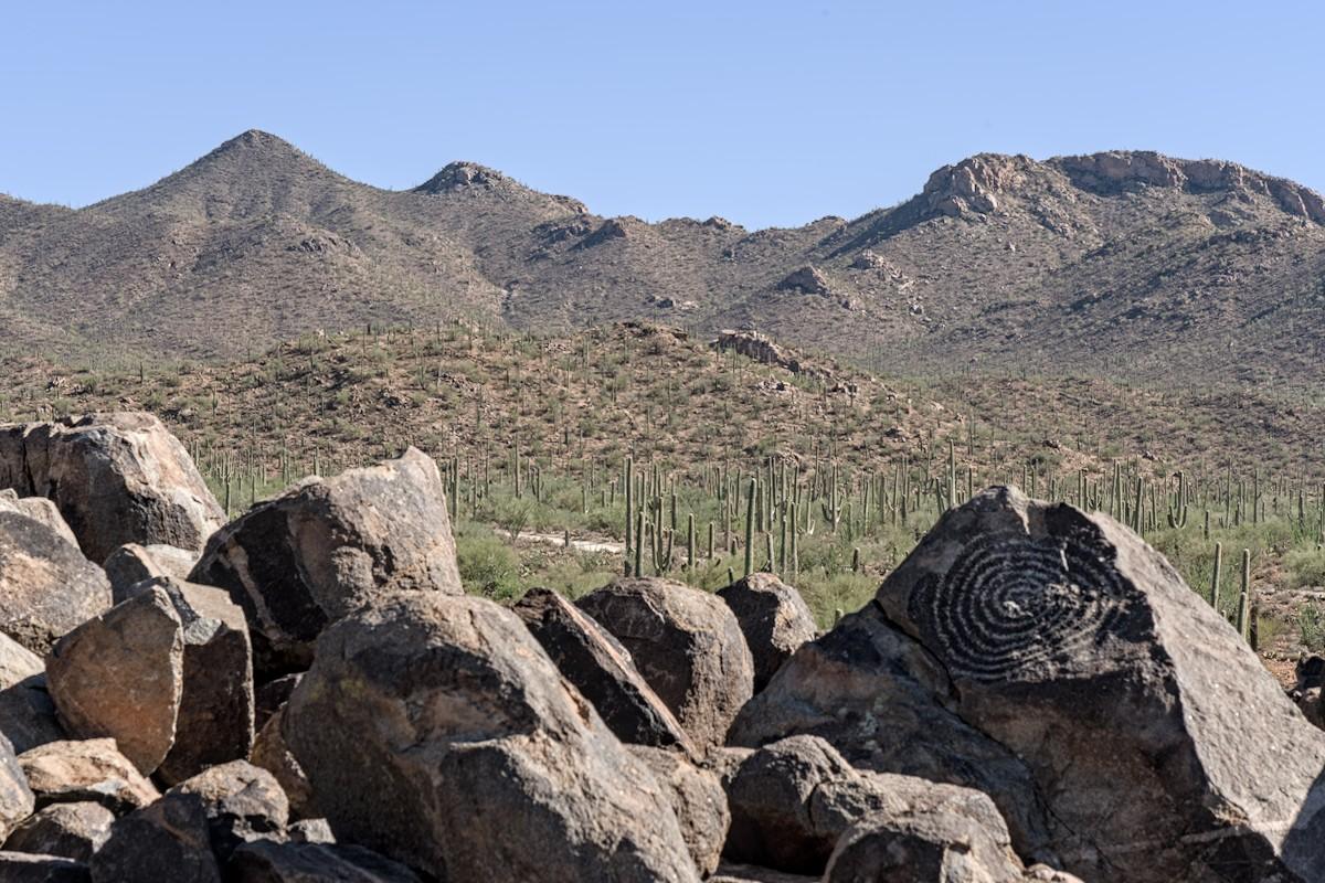 Color photo of a desert landscape under a bright blue sky. In the foreground is a large jumble of volcanic rocks. On the far right, on the flat face of one of the boulders is a large spiral petroglyph.  In the middle ground is a hilly landscape with sparse desert scrubs and many tall saguaro cacti. Mountains are in the background.