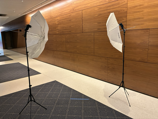 Posted media