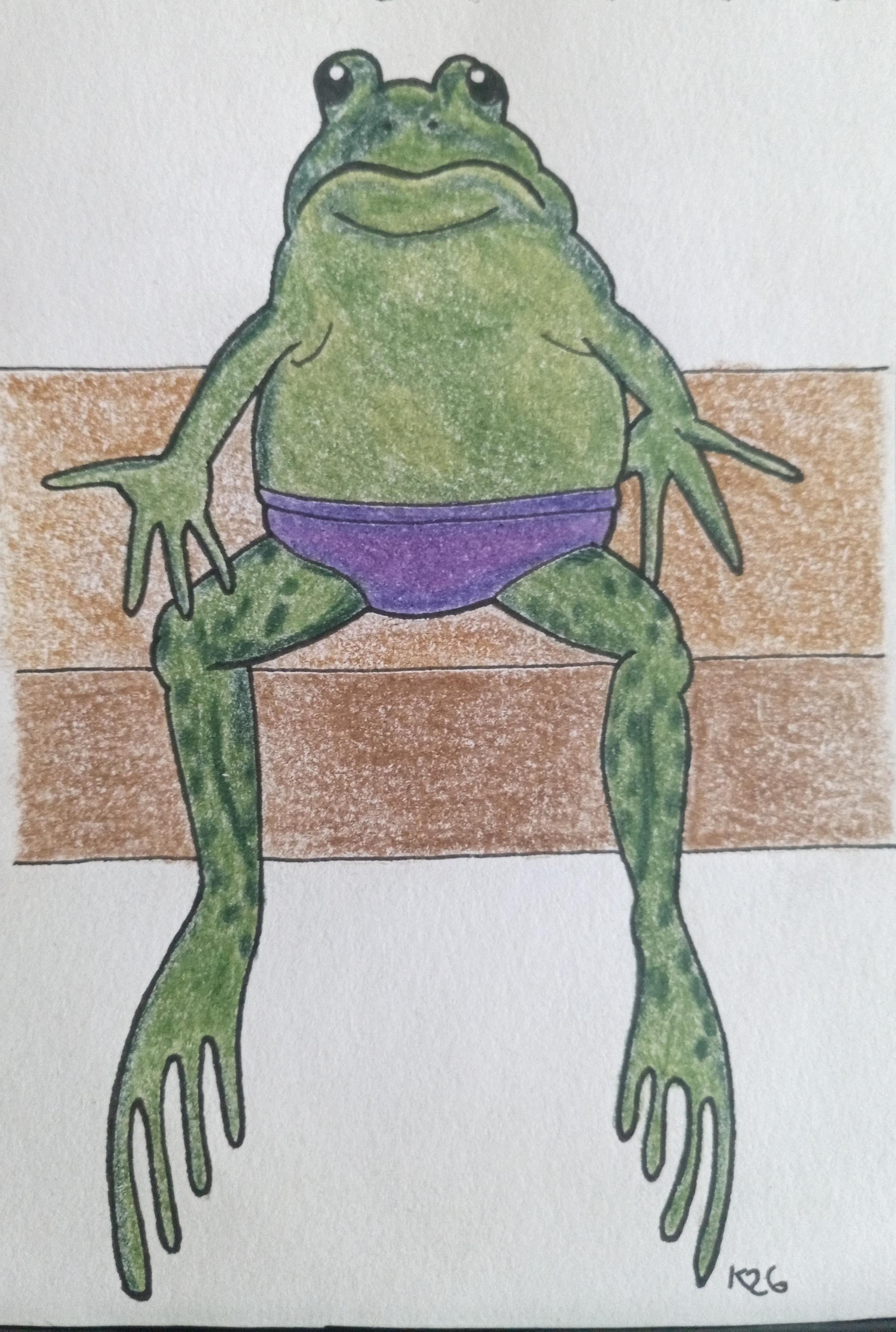 Cartoon style drawing of a frog sat like a human on a bench with the back legs hanging. The frog is wearing a pair of purple undies.