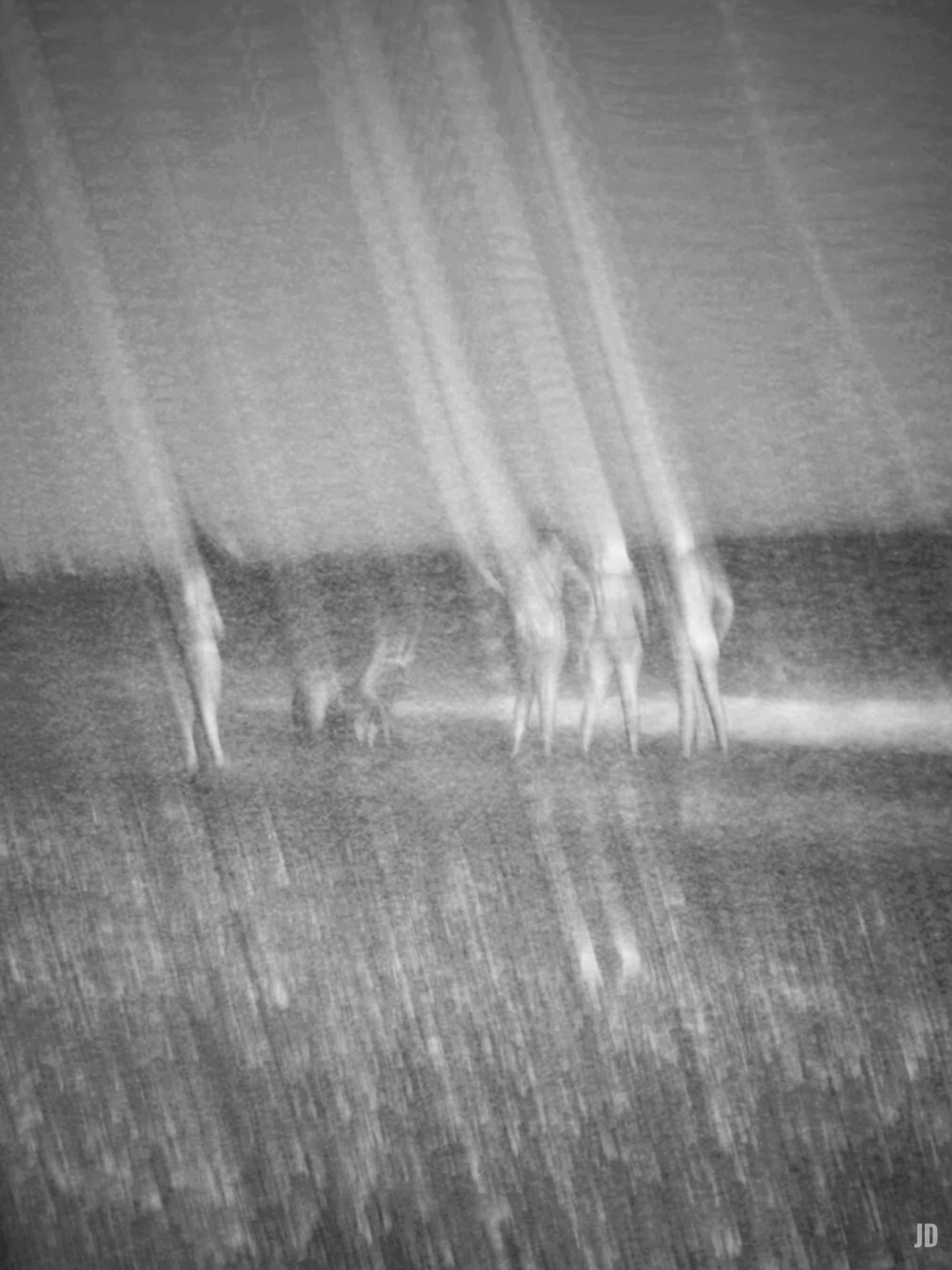 Esta es una fotografía en blanco y negro con un efecto de desenfoque de movimiento o exposición prolongada vertical, lo que le da una apariencia etérea y abstracta. Muestra a un grupo de personas en la orilla de una playa o cuerpo de agua, cuyas siluetas parecen estirarse hacia arriba formando estelas de luz, mientras que la parte inferior presenta una textura granular o de agua en movimiento.