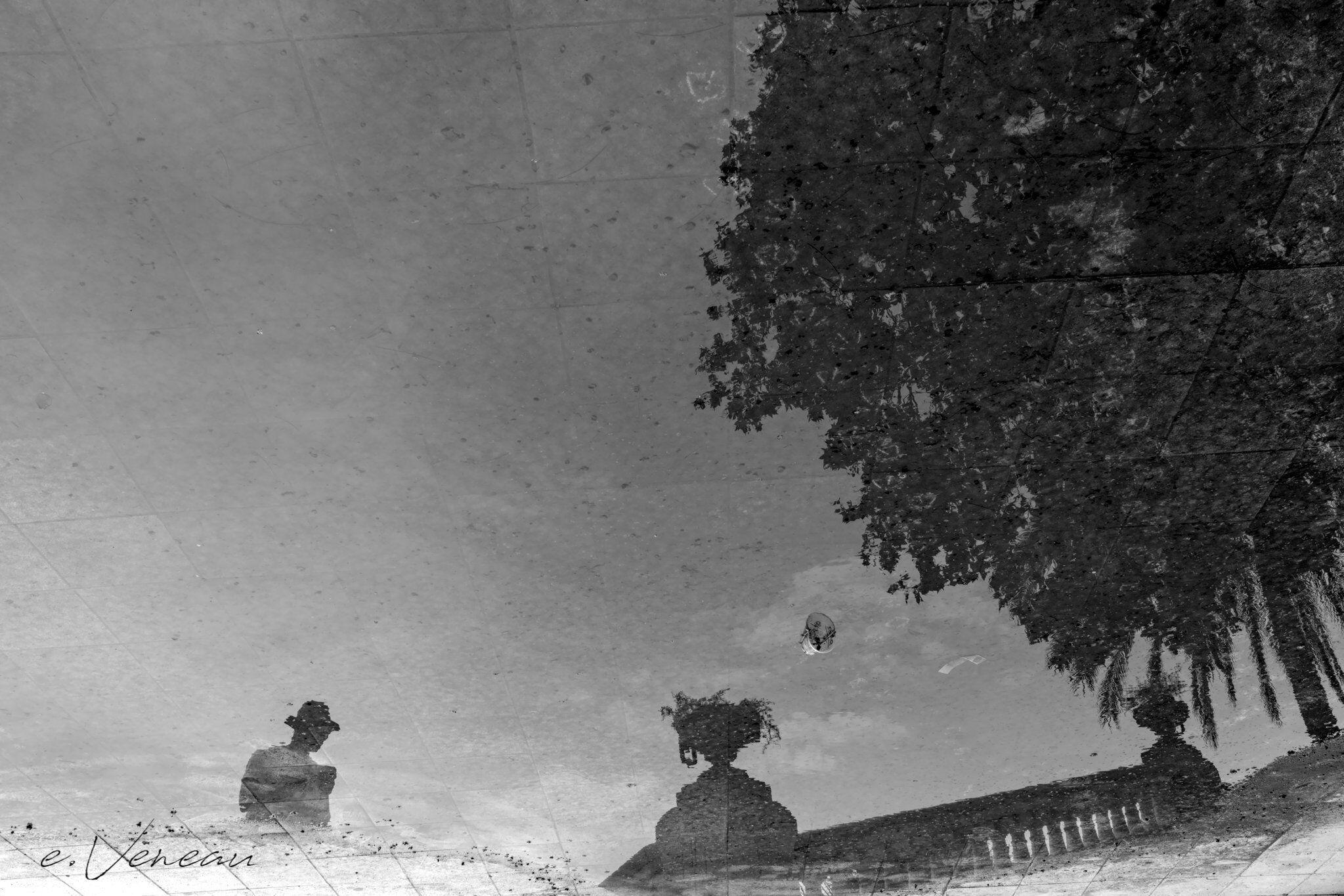 In a puddle of water are reflected a palm tree and a stone railing and on the lower left edge the bust of a man with a hat.