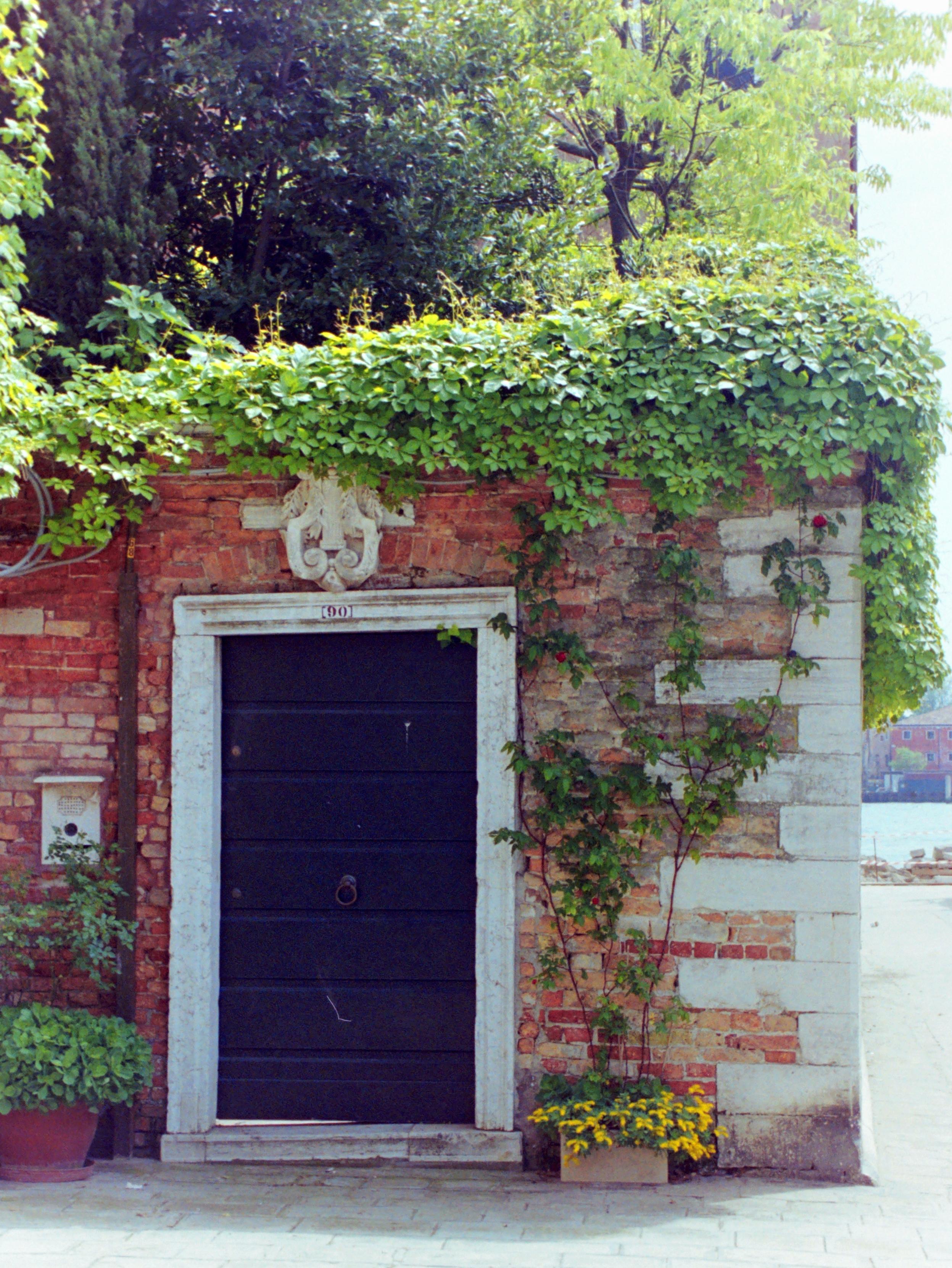 The photograph shows, from the outside, an entrance gate to a large garden with trees in Venice. The wall is exposed brick, and the rectangular gate is made of dark-painted metal with decorative elements, framed in white stone with an elaborate ornament of the same material at the top. Also in white stone, overlapping blocks reinforce the corner. The ground is paved, and there are flowerpots on either side of the gate. Lush vegetation peeks over the wall, extending outwards.