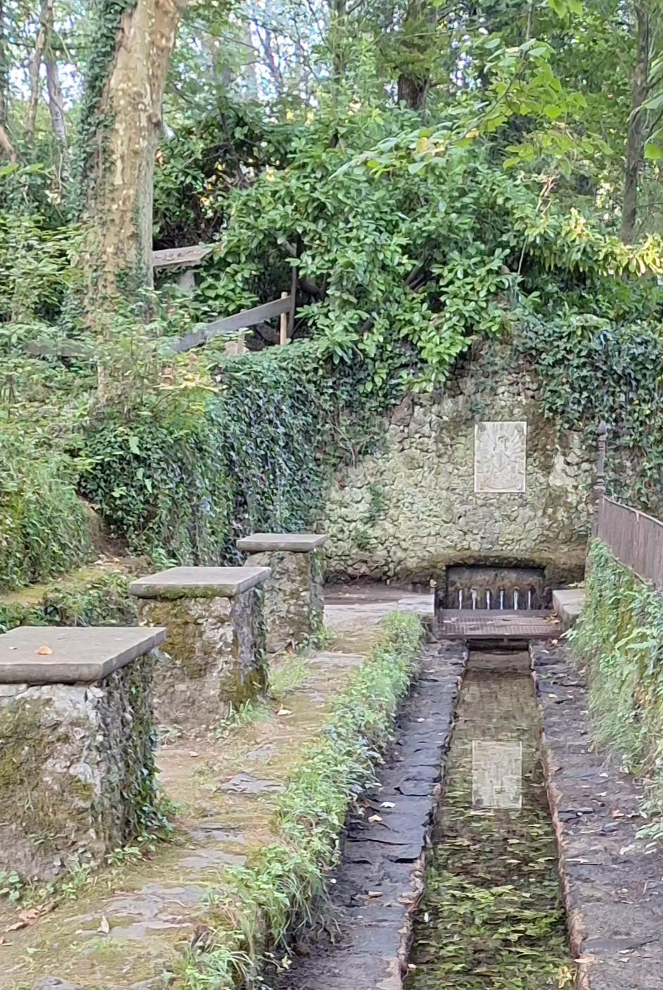 Photograph of the "Font de la Moixina" fountain located in the wetlands of the same name in the La Garrotxa Volcanic Zone Natural Park. Surrounded by trees and vegetation, the fountain has six jets whose water is collected in a stone channel. Stone benches and tables line one side of the channel. The wall protecting the fountain has a white plaque with a coat of arms.