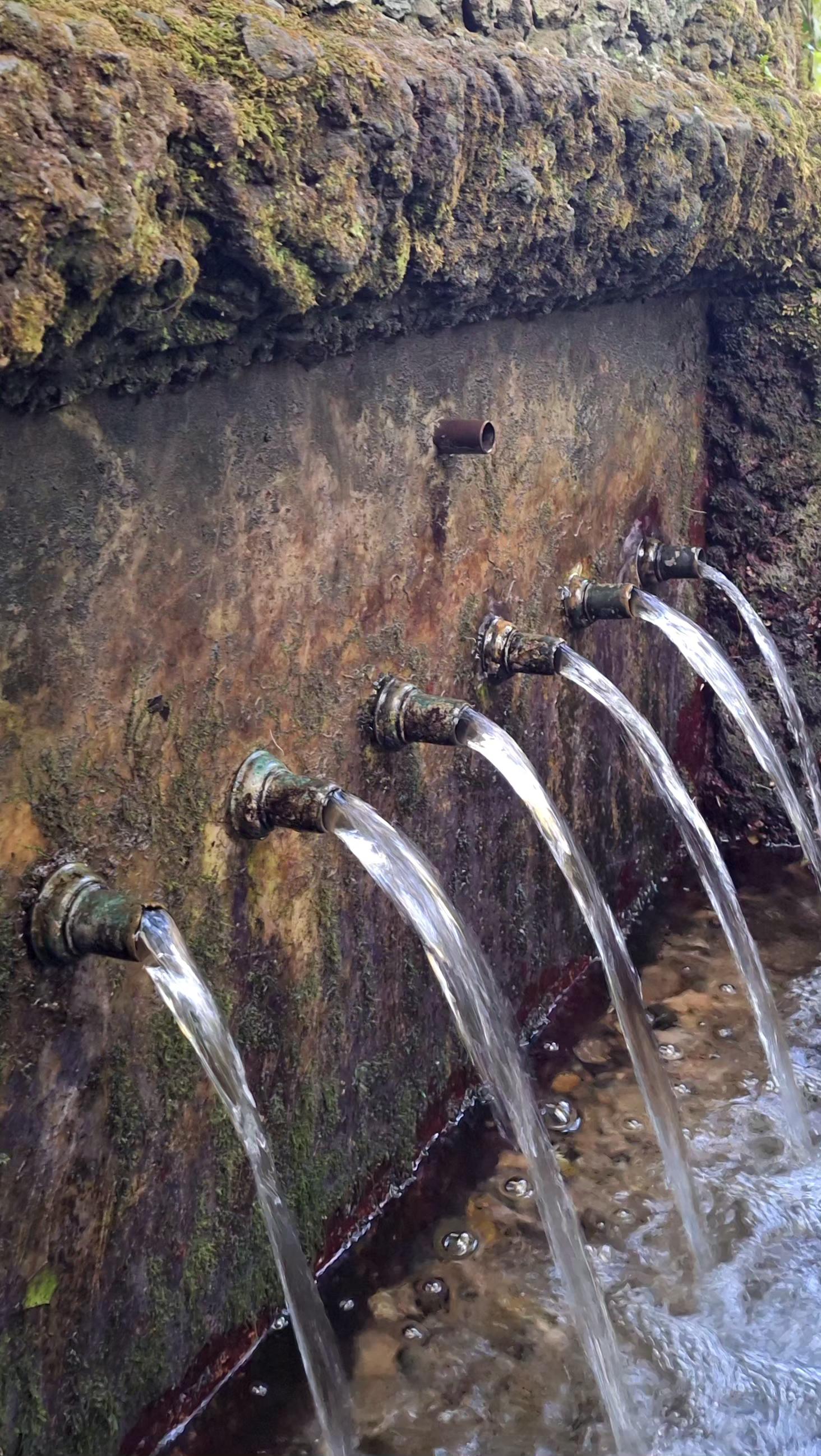 The image shows a close-up of the six spouts of the "La Moixina" fountain, located in the wetlands of the same name in the La Garrotxa Volcanic Zone Natural Park, from which an excellent water flows.