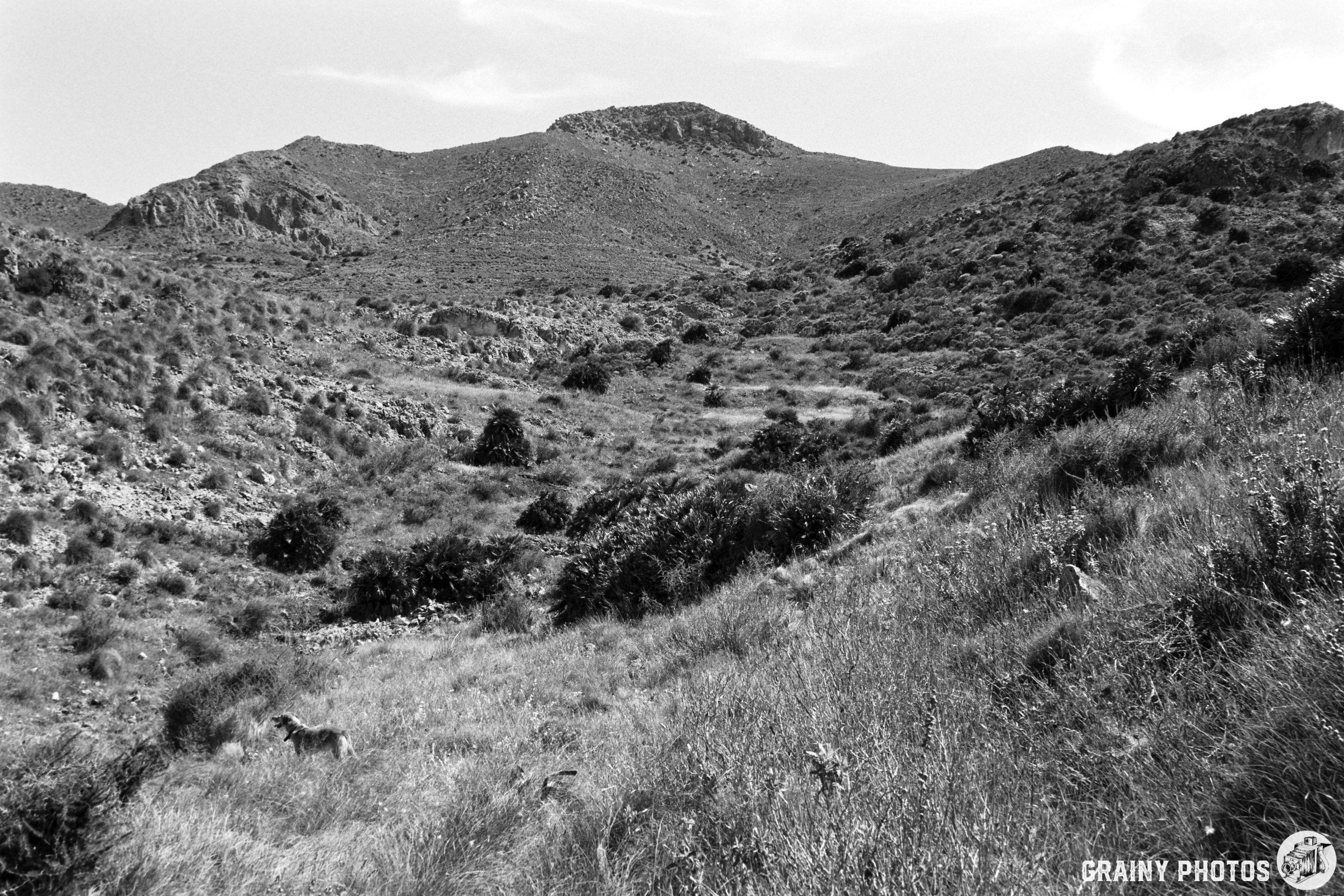 A black and white photograph of a mountainous landscape, featuring rolling hills and sparse vegetation. The scene showcases a rugged terrain with scattered bushes and a serene, untouched natural setting.
