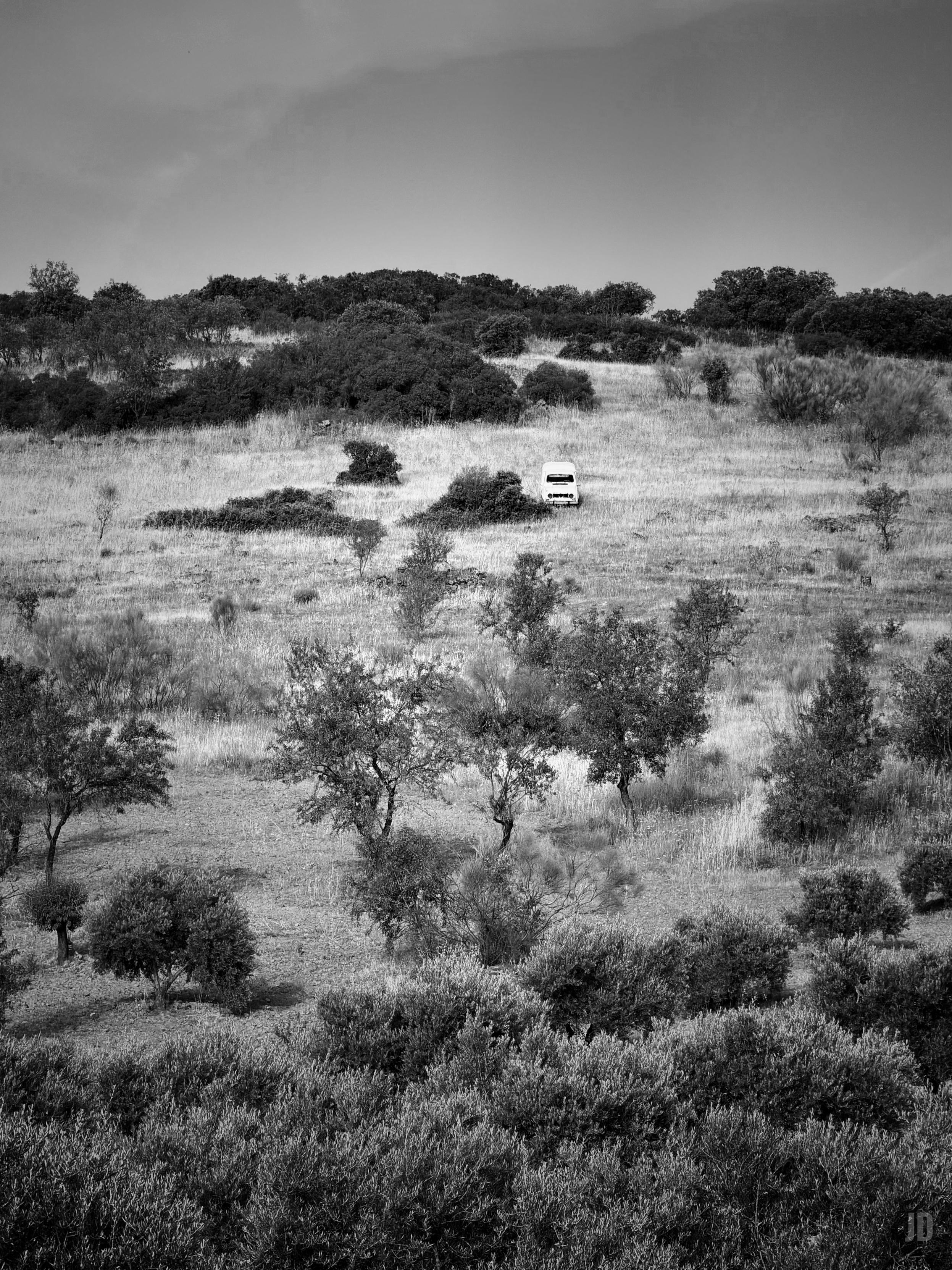La imagen en blanco y negro muestra un paisaje natural con colinas cubiertas de hierba y arbustos dispersos. En el centro, se distingue una furgoneta blanca estacionada, destacando entre la vegetación. La parte inferior de la imagen tiene más densidad de árboles y matorrales, mientras que el cielo ocupa la franja superior sin elementos llamativos.