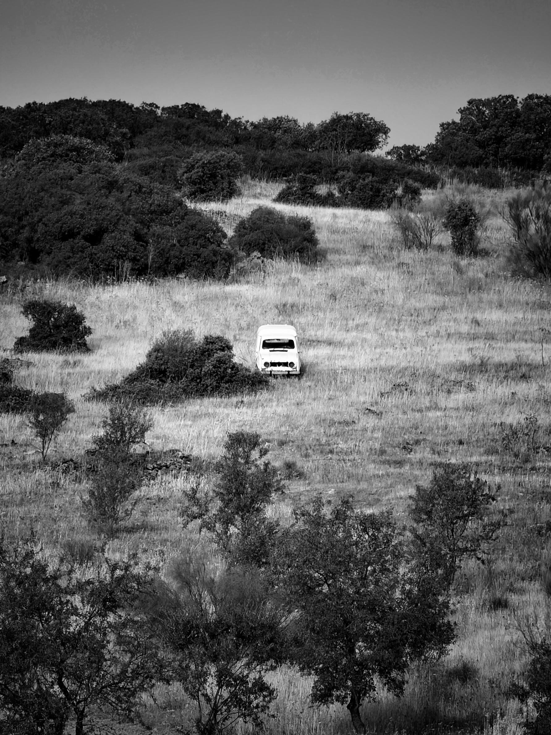 La imagen en blanco y negro muestra un paisaje rural con colinas cubiertas de hierba alta y algunos arbustos dispersos. En el centro, destaca un vehículo blanco detenido en medio del campo, rodeado de vegetación. Al fondo, se observan árboles más densos que forman un pequeño bosque. El cielo aparece despejado.
