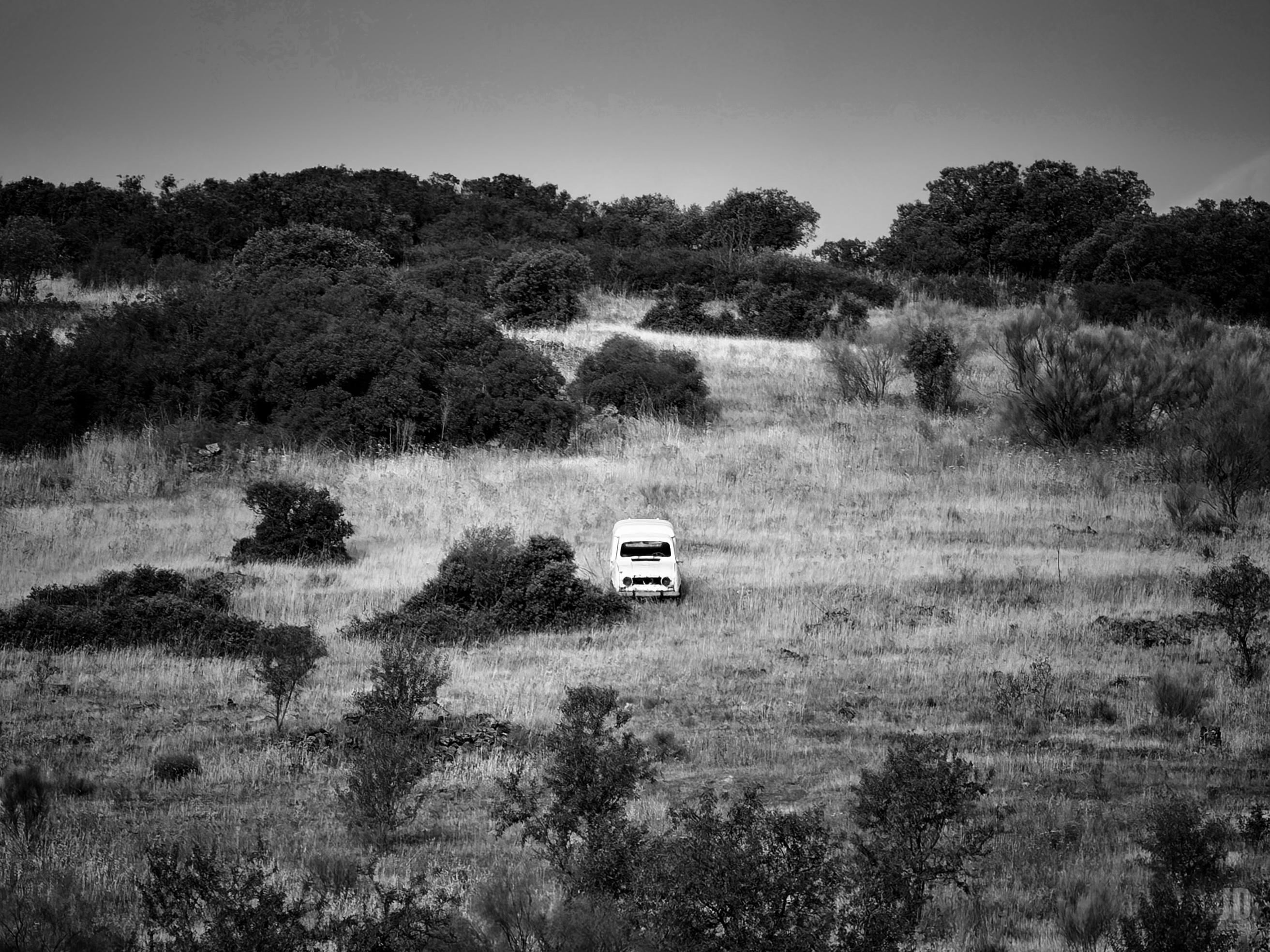 La imagen muestra un paisaje natural en blanco y negro, con un campo de hierba alta y arbustos dispersos. En el centro destaca una furgoneta blanca solitaria, estacionada en medio del terreno abierto. Al fondo, se observan colinas cubiertas de árboles y matorrales, bajo un cielo despejado.