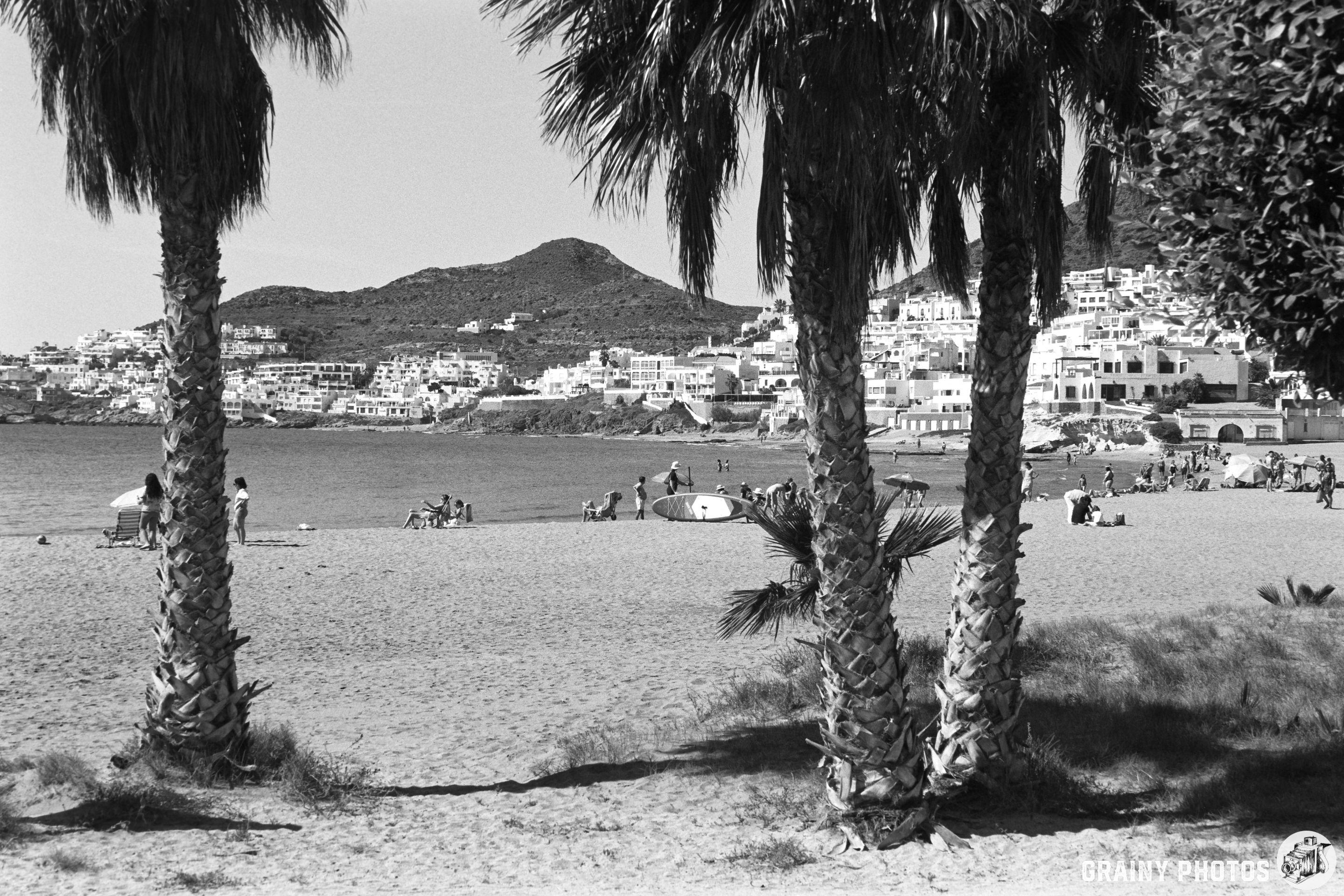 A sandy beach scene in San José framed by palm trees, with people enjoying the sun and water in the background. Coastal houses sit atop a hillside, while mountains loom in the distance, all captured in black and white.