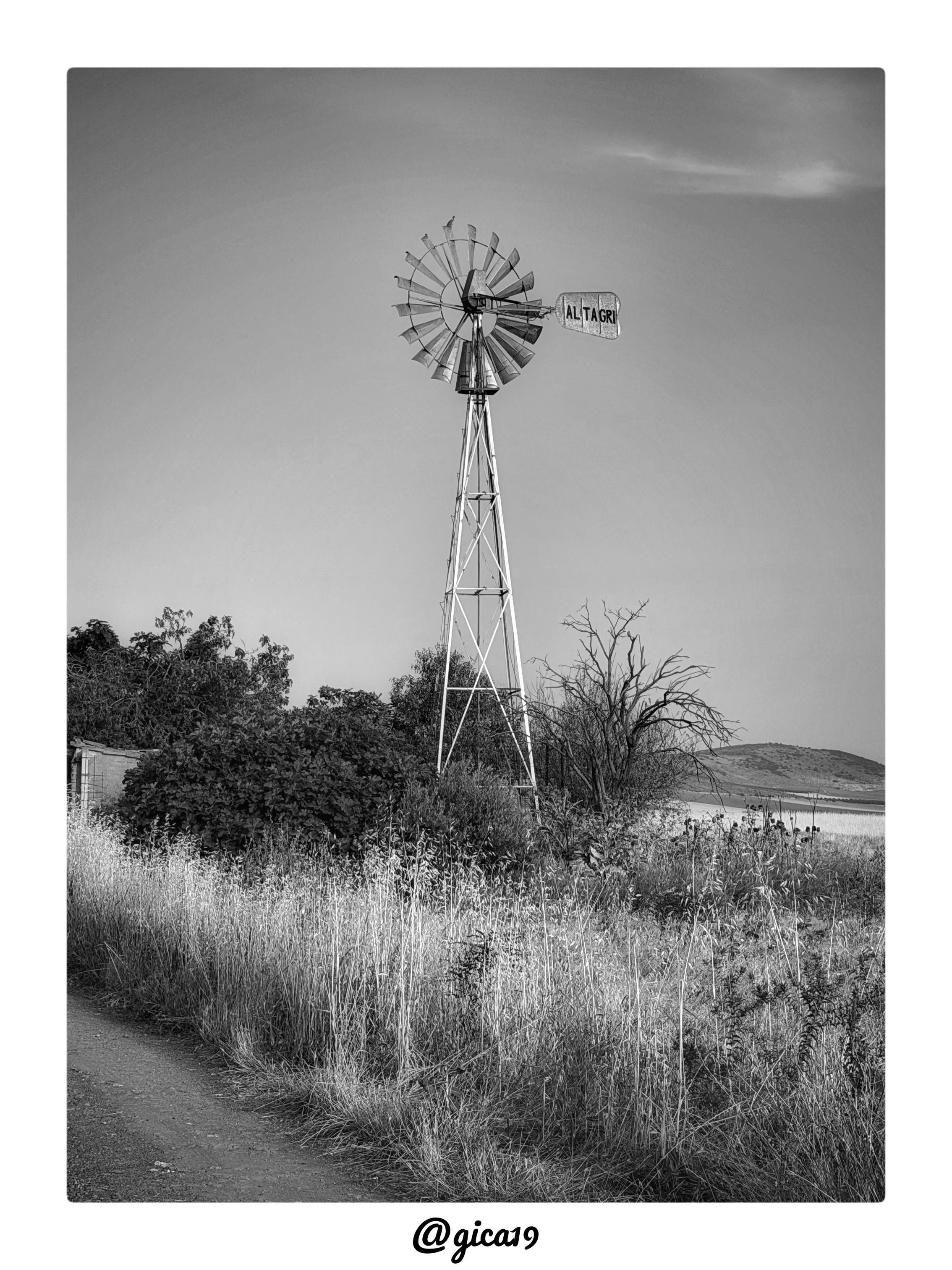 La fotografía, en blanco y negro y con un fuerte contraste, muestra un paisaje rural típico del Campo de Calatrava, en el término de Santa Cruz de Mudela (Ciudad Real), una comarca de llanura manchega salpicada por las primeras estribaciones de Sierra Morena. El encuadre vertical deja gran parte del espacio a un cielo despejado, con una única y tenue franja de nubes altas en la parte superior derecha, lo que refuerza la sensación de amplitud y aridez del entorno.

En el centro de la imagen se alza un molino de viento de tipo americano, con su característica estructura metálica de torre en celosía (cuatro patas cruzadas en forma de "X") y, en la parte superior, la rueda multipala circular que capta el viento para el bombeo de agua. La cola de orientación, con la marca "Altagri" grabada, indica que se trata de un modelo fabricado por esta empresa extremeña de Ribera del Fresno (Badajoz), reconocida como líder en España en la fabricación de este tipo de molinos, empleados sobre todo para 
