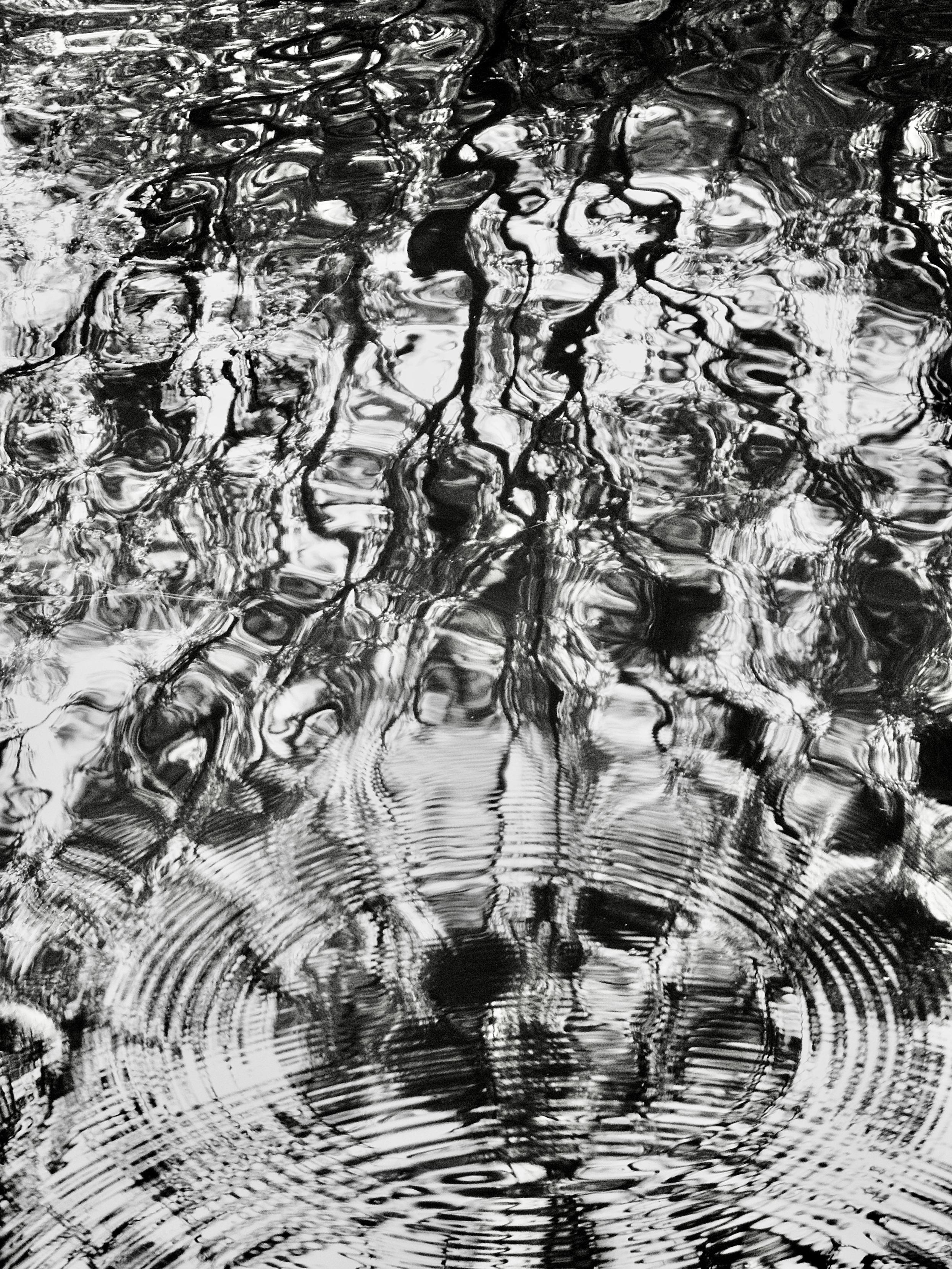 Abstract black and white image taken with an OM System Tough TG-7 pocket camera and showing the dark reflections of tree branches reflecting on the rippled surface of a large pond, where the movement of the wind-blown water has created abstract, dancing patterns out of the reflections and ripples.