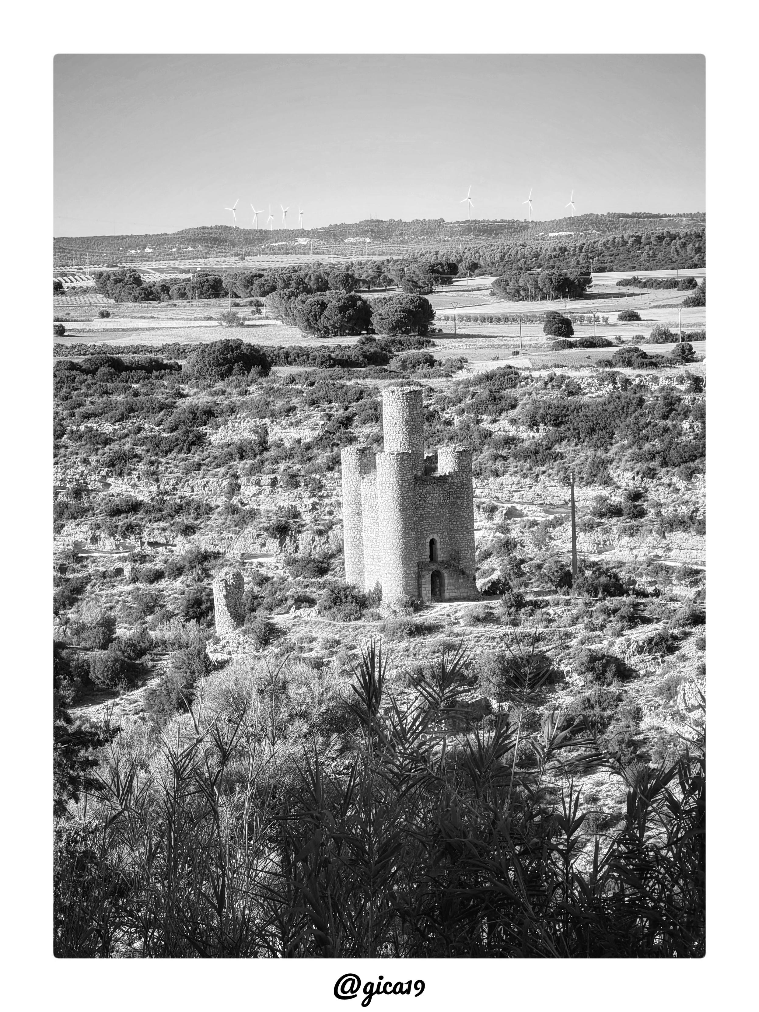 La fotografía, en blanco y negro, muestra la Torre de los Alarconcillos vista desde una cierta distancia, en un plano general que la sitúa en su contexto paisajístico. La torre —de planta circular, maciza, con cuatro torrecillas adosadas orientadas a los puntos cardinales— se alza sobre un pequeño promontorio en primer/medio plano, con su característico acceso en arco apuntado a media altura y las almenas desgastadas por el paso del tiempo, reflejo de que hoy se conserva desmochada y sin estructuras interiores.

En primer término aparece vegetación densa y silvestre —matorral bajo, arbustos y lo que parecen cañas altas— que enmarca la parte inferior de la composición. A media distancia se extiende un terreno agreste y pedregoso salpicado de matojos, típico del entorno rocoso donde se asienta esta atalaya sobre un cerro junto al meandro del río Júcar, a las afueras del casco urbano de Alarcón.

Más allá, el terreno da paso a zonas de cultivo y arboledas más ordenadas, con hileras de árb