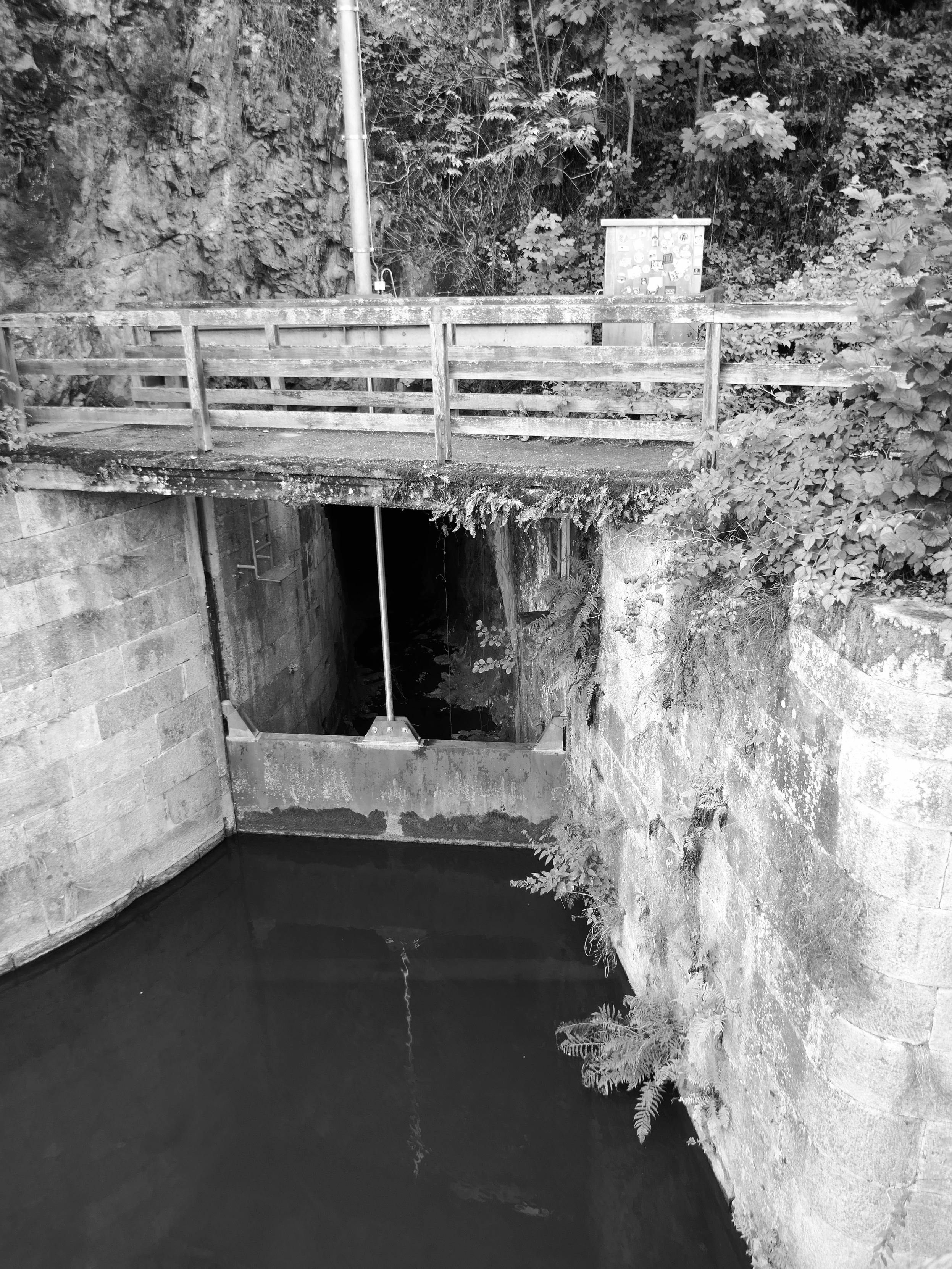 the picture shows two walls in water, funneling the flow into a tunnel. There is a floodgate at the bottom, and a footbridge on top. Some overgrowth indicates the device is out of use