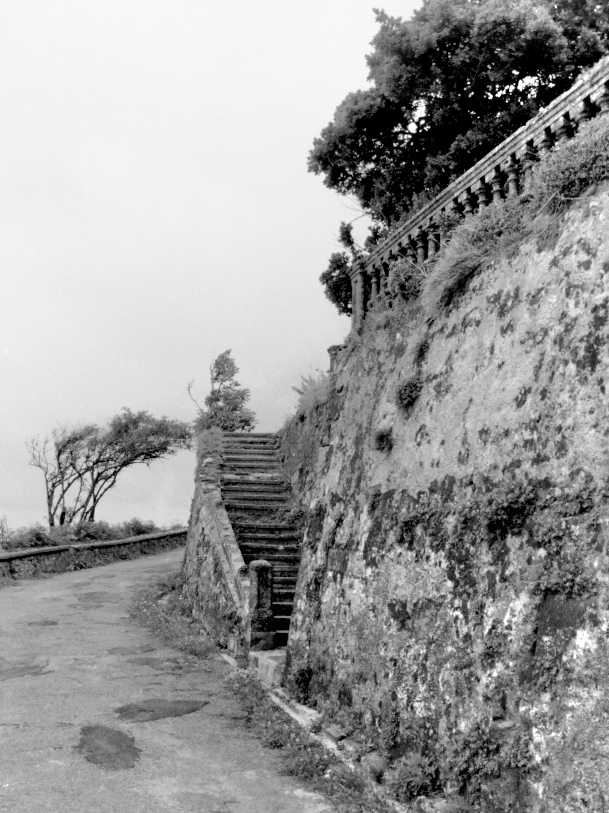 The photograph shows, on the right, a large wall weathered by time, with sparse vegetation clinging to it. At the top, an artificial stone railing with small columns leads to the glimpse of a forest. At the end of the wall, an access staircase, also weathered by time, has a railing and a small starting pillar. On the left, a narrow, winding access road is bordered by a low protective wall, behind which a small tree emerges, bent by the local winds.