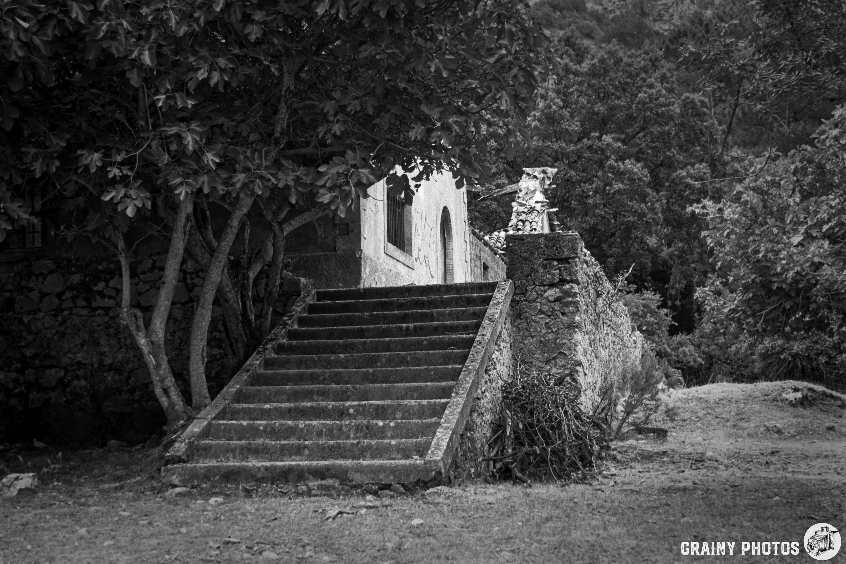 A black and white image of a set of weathered stone steps leading to an old building, surrounded by trees and natural foliage, conveying a sense of history and serene decay.